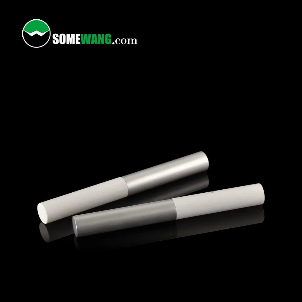 Tube de mascara vide en bambou transparent transparent Ecologico avec brosse en silicone